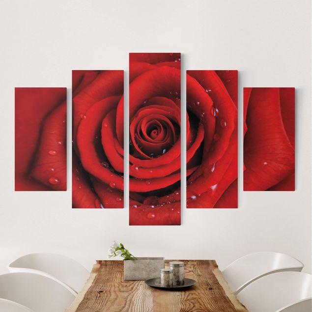 decoraçao para parede de cozinha Red Rose With Water Drops