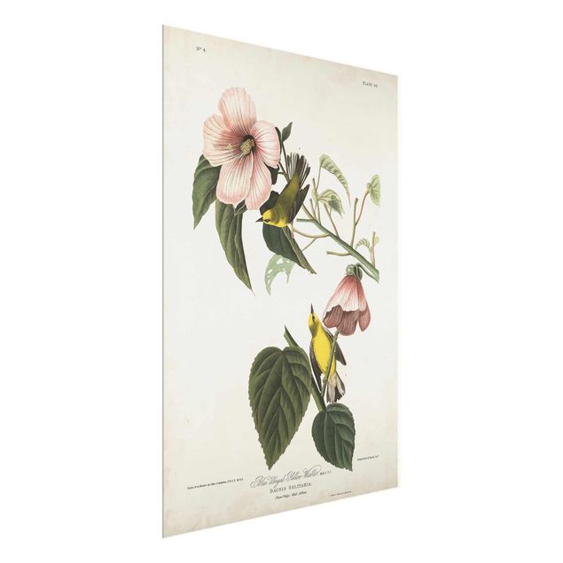 quadros de flores Vintage Board Warbler II