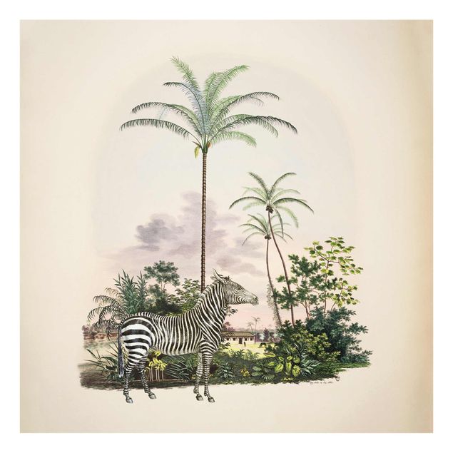 Quadros em vidro animais Zebra Front Of Palm Trees Illustration