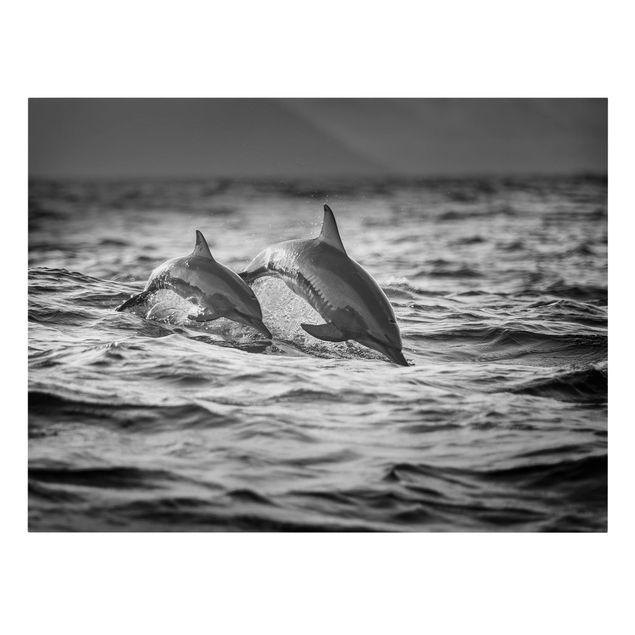 Telas decorativas animais Two Jumping Dolphins