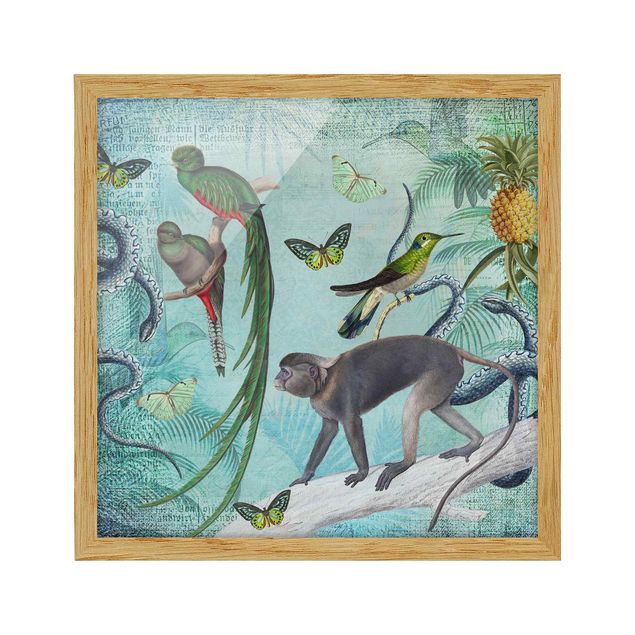 Quadros florais Colonial Style Collage - Monkeys And Birds Of Paradise
