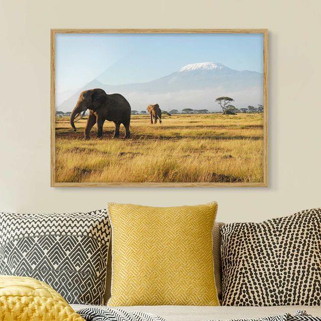 decoraçoes cozinha Elephants In Front Of The Kilimanjaro In Kenya