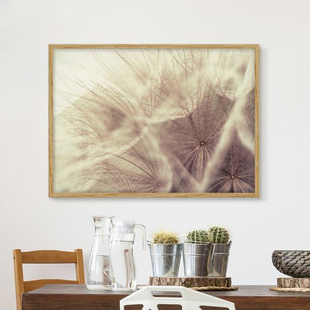 decoraçao cozinha Detailed Dandelion Macro Shot With Vintage Blur Effect