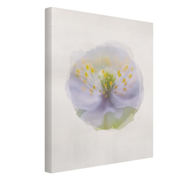 quadro com flores WaterColours - Anemones Beauty