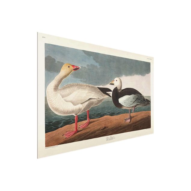 quadro decorativo mar Vintage Board Blue Goose