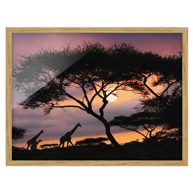 Quadros com moldura paisagens African Safari
