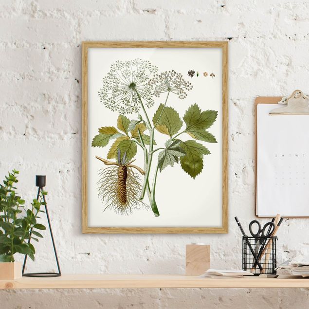 Quadros com moldura flores Wild Herbs Board IV