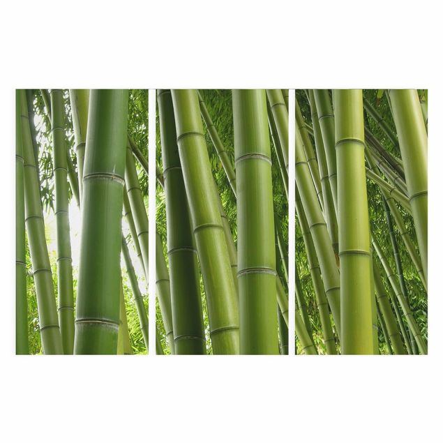Quadros paisagens Bamboo Trees
