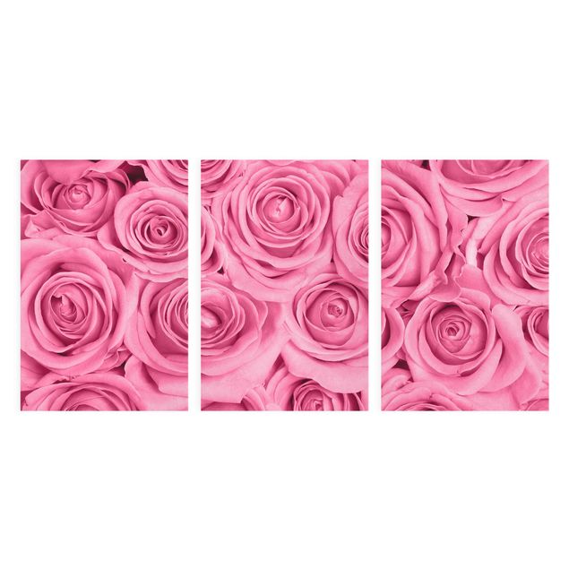 quadros de flores Pink Roses