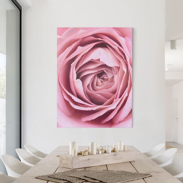 Telas decorativas rosas Pink Rose Blossom