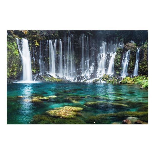 quadro com paisagens Shiraito Waterfall