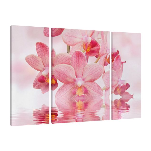 Telas decorativas flores Light Pink Orchid On Water