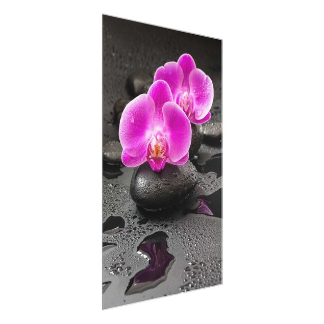 Quadros em vidro flores Pink Orchid Flower On Stones With Drops