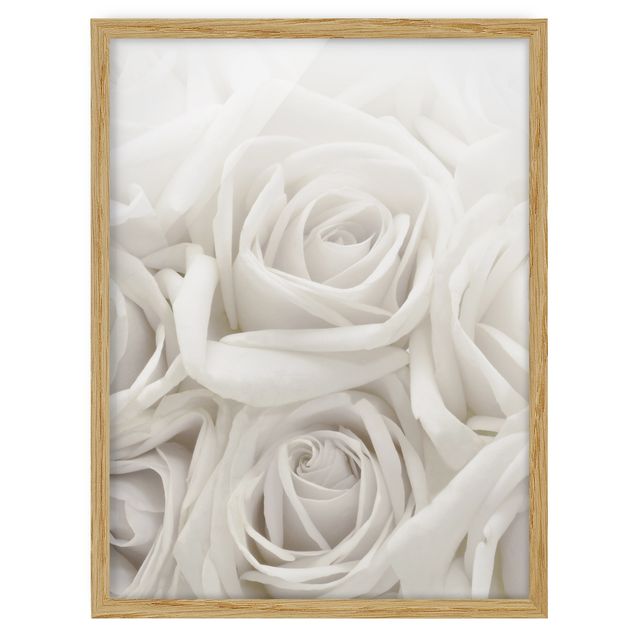 quadros flores White Roses