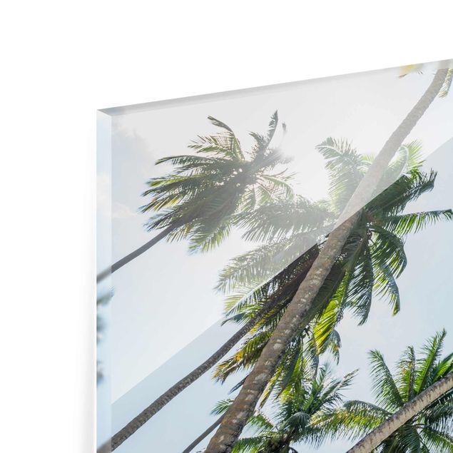 quadros para parede Palm Tree Canopy
