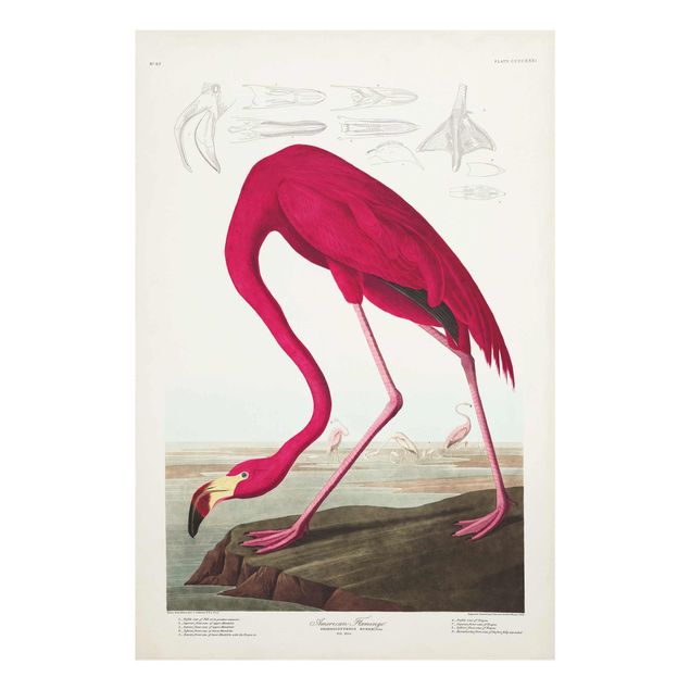 Quadros decorativos Vintage Board American Flamingo