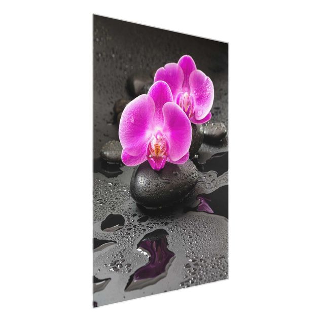 Quadros em vidro flores Pink Orchid Flower On Stones With Drops