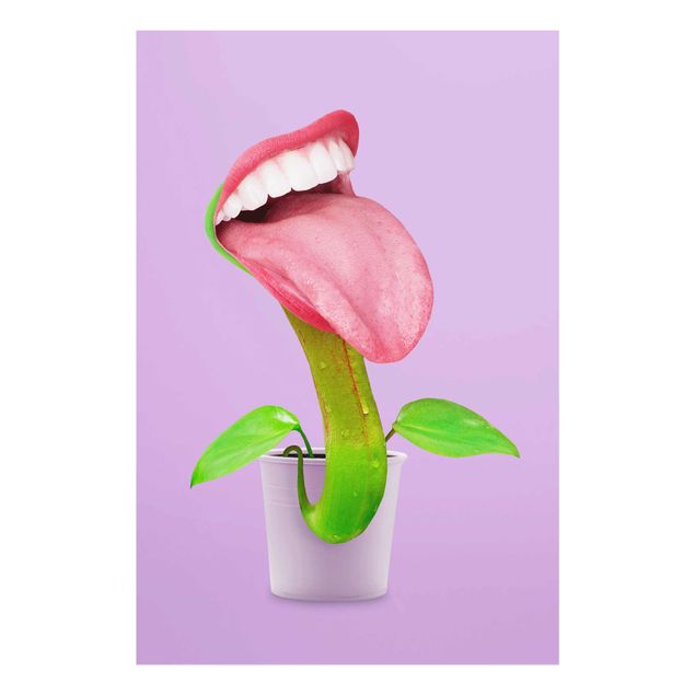 quadros de flores Carnivorous Plant With Mouth