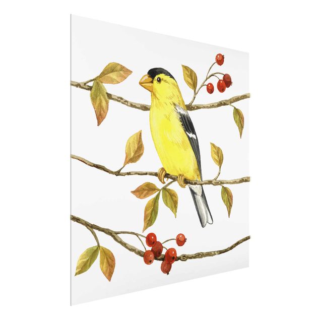 Quadros retro Birds And Berries - American Goldfinch