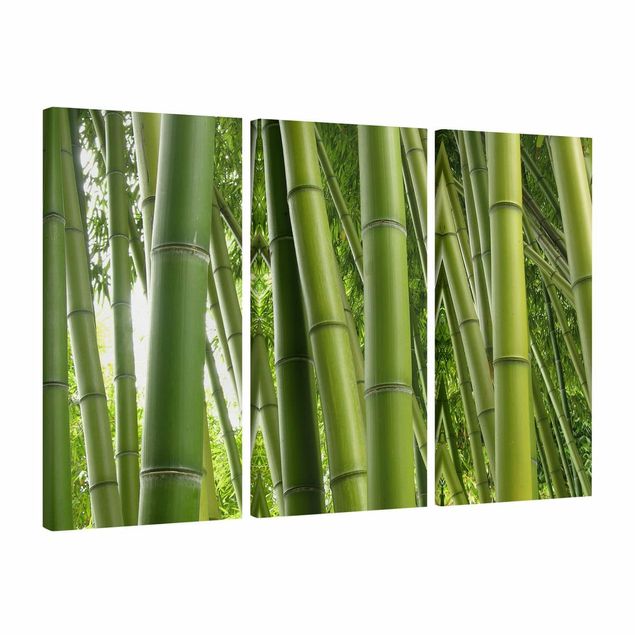 Quadros bambu Bamboo Trees