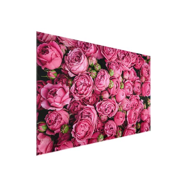Quadros em vidro flores Pink Peonies