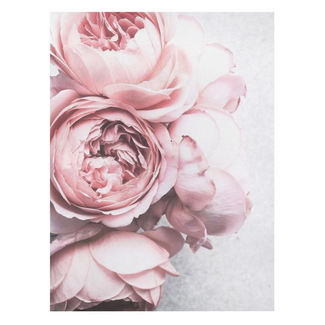 quadro com flores Light Pink Peony Flowers Shabby Pastel