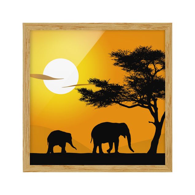Quadros com moldura paisagens African Elephant Walk