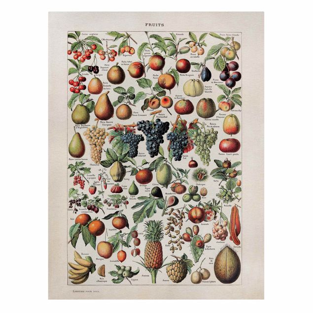 Telas decorativas legumes e fruta Vintage Board Fruits