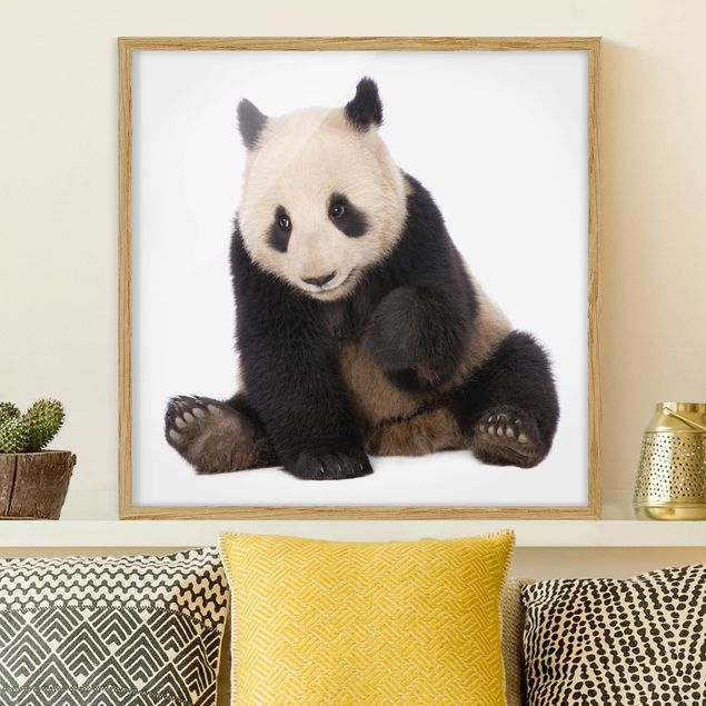 decoração quarto bebé Panda Paws