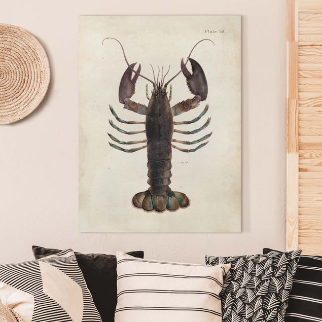 decoraçao para parede de cozinha Vintage Illustration Lobster