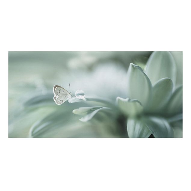 Telas decorativas flores Butterfly And Dew Drops In Pastel Green