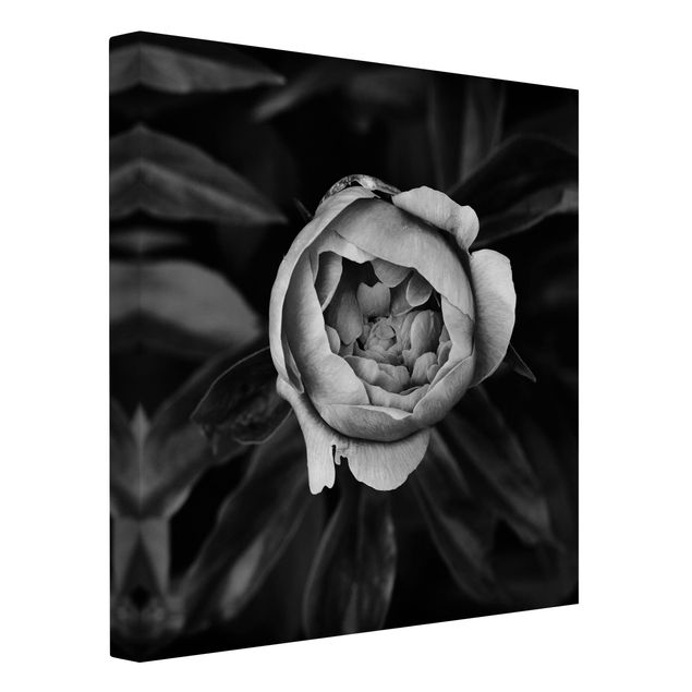 Telas decorativas flores Peonies In Front Of Leaves Black And White