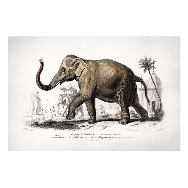Telas decorativas paisagens Vintage Board Elephant