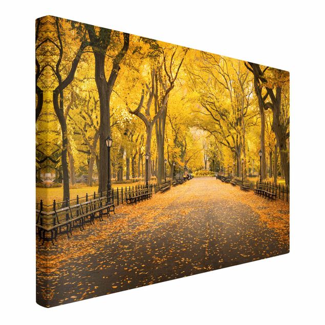 Telas decorativas cidades e paisagens urbanas Autumn In Central Park