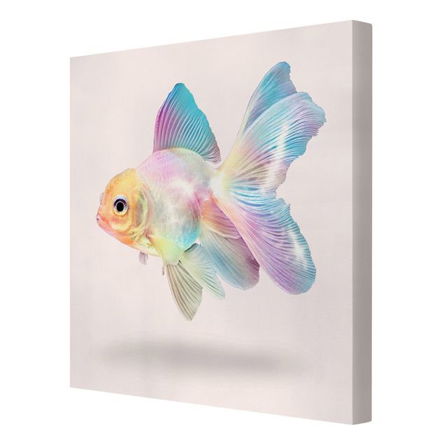 Telas decorativas animais Fish In Pastel