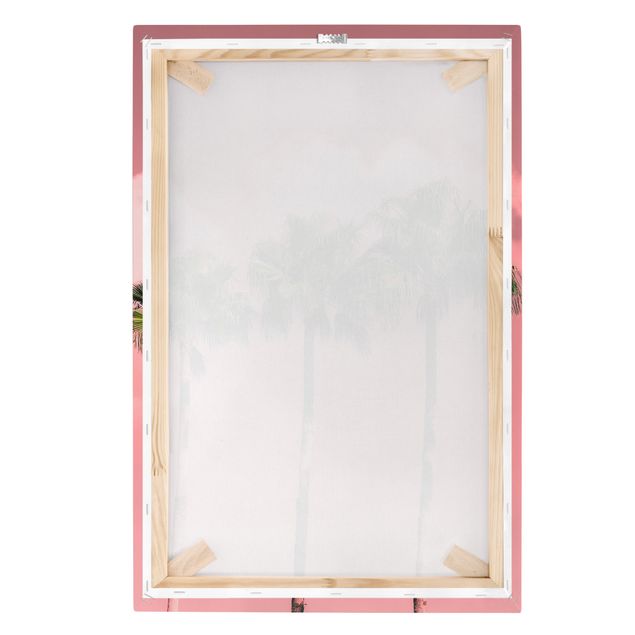 decoração quadros Palm Trees Against Sky Pink