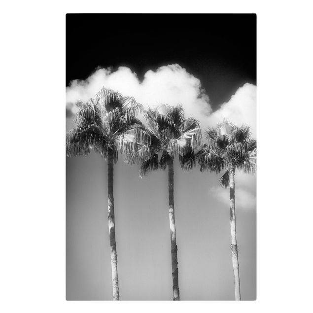 Quadros florais Palm Trees Against The Sky Black And White