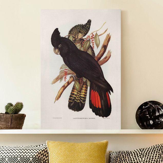 decoraçoes cozinha Vintage Illustration Black Cockatoo Black Gold
