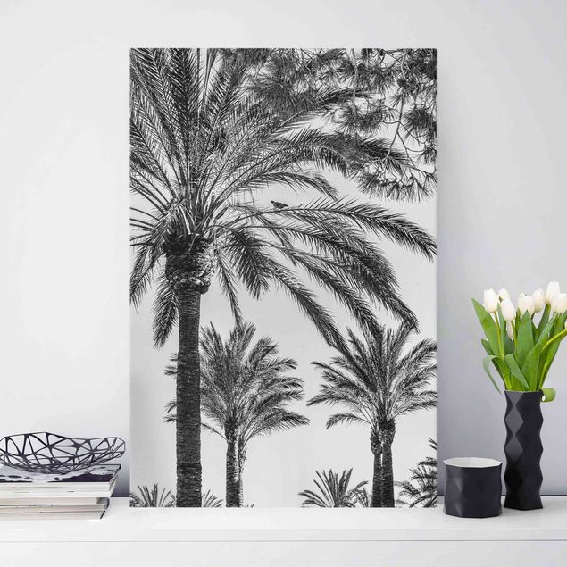 decoraçao para parede de cozinha Palm Trees At Sunset Black And White