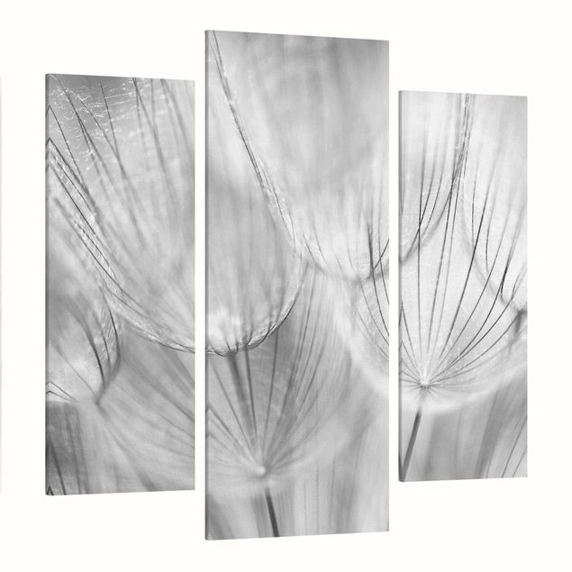 Telas decorativas em preto e branco Dandelions Macro Shot In Black And White