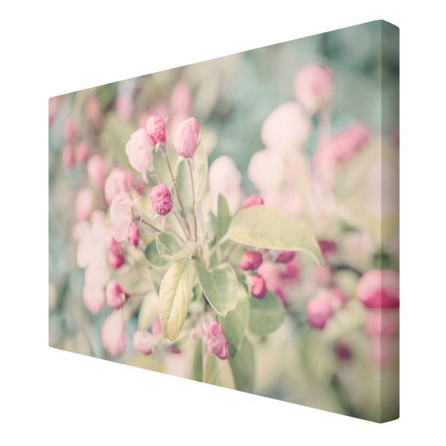 Quadros de Andrea Haase Apple Blossom Bokeh Light Pink