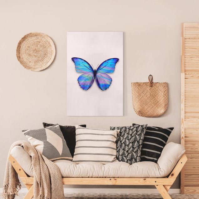 Telas decorativas borboletas Holographic Butterfly