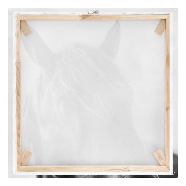 quadros preto e branco para decoração Curious Horse
