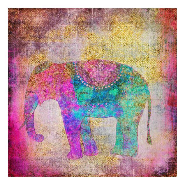 Telas decorativas zen Colourful Collage - Indian Elephant