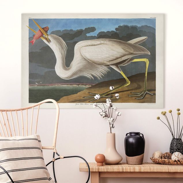 Telas decorativas peixes Vintage Board Great White Egret