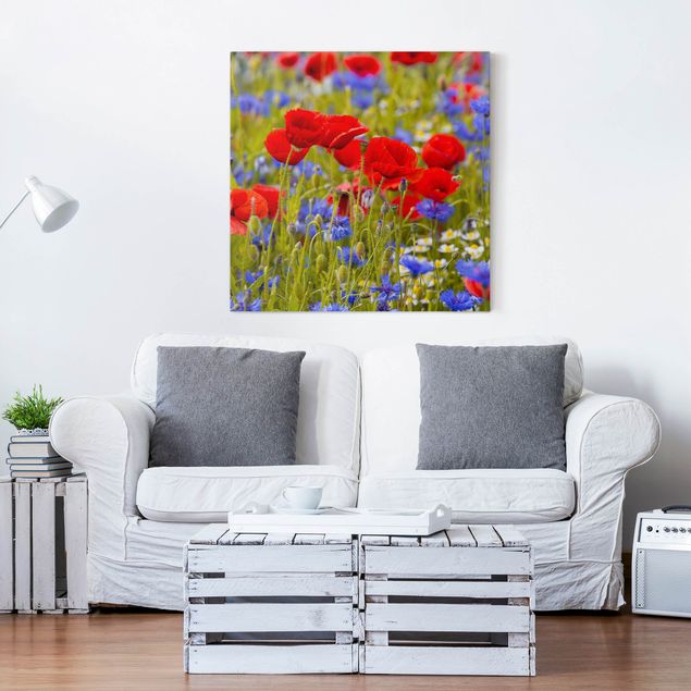 Telas decorativas papoilas Summer Meadow With Poppies And Cornflowers