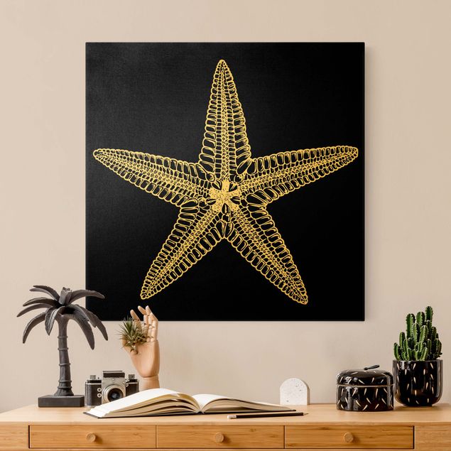 Telas decorativas animais Illustration Starfish On Black