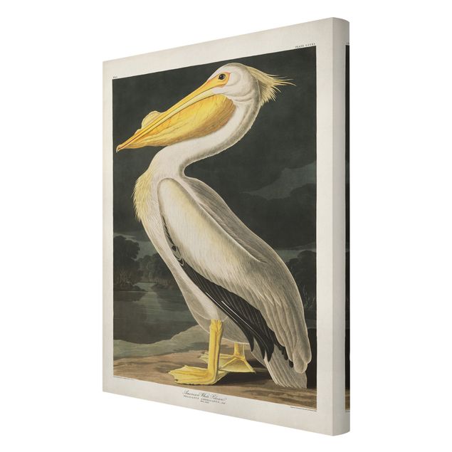 Quadros em amarelo Vintage Board White Pelican