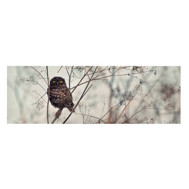 quadros para parede Owl In The Winter