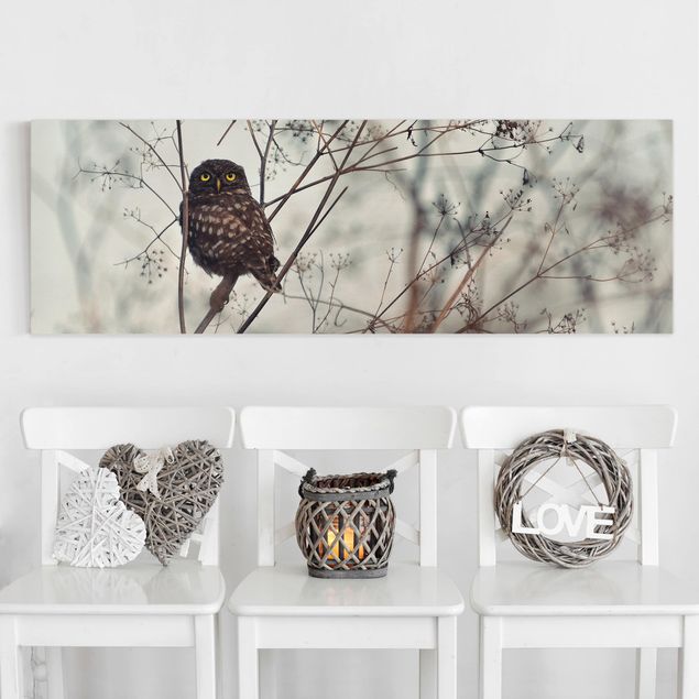 decoraçao cozinha Owl In The Winter